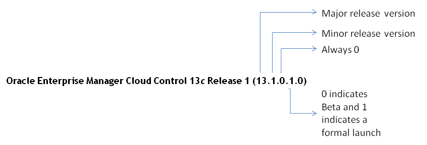 Core platform release number format