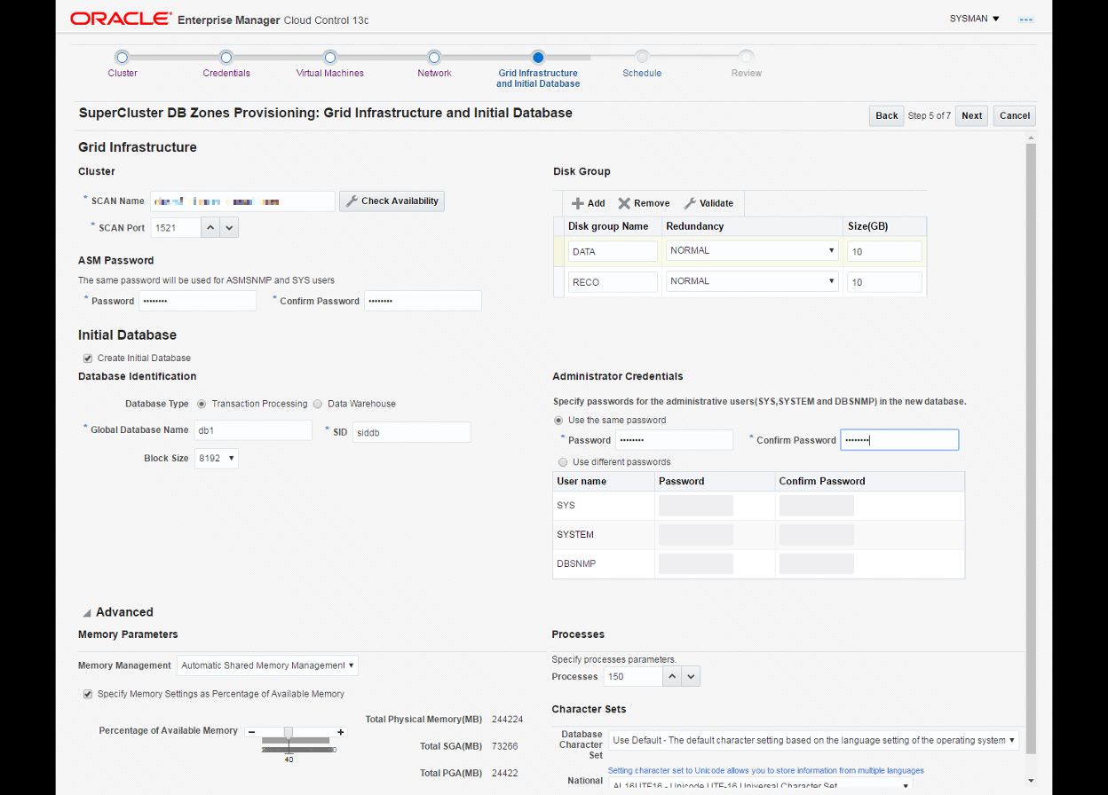 This image shows what the grid infrastructure definition as well as the advanced settings for your database.