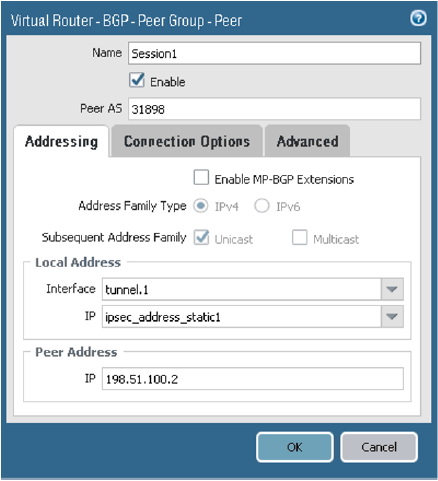 Click to expand This image shows the BGP peer Addressing tab.