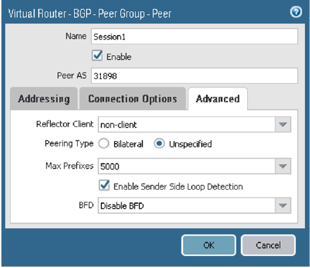 Click to expand This image shows the BGP peer Advanced tab.