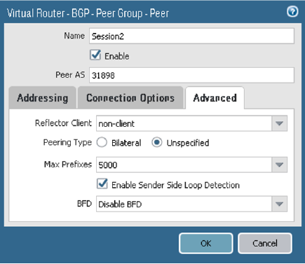Click to expand This image shows the BGP peer Advanced tab.