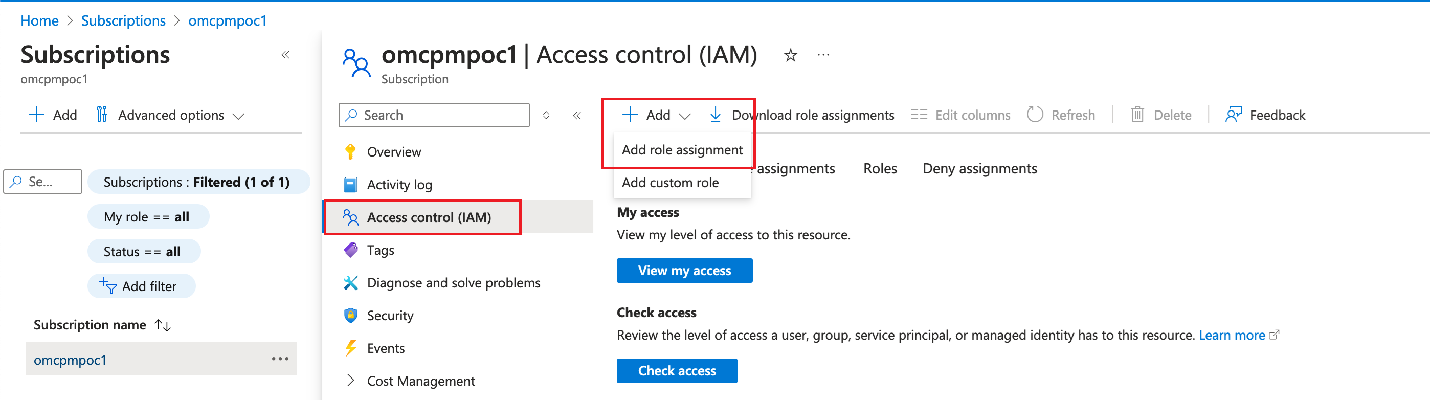 Fare clic per espandere Immagine della pagina dei dettagli della sottoscrizione che mostra la sezione IAM (Controllo dell'accesso).