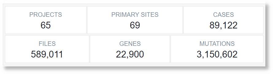 due righe di riepilogo