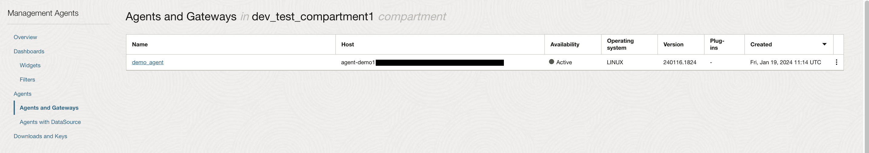 Pagina Agenti e gateway che mostra tutti gli agenti di gestione e i gateway di gestione installati.