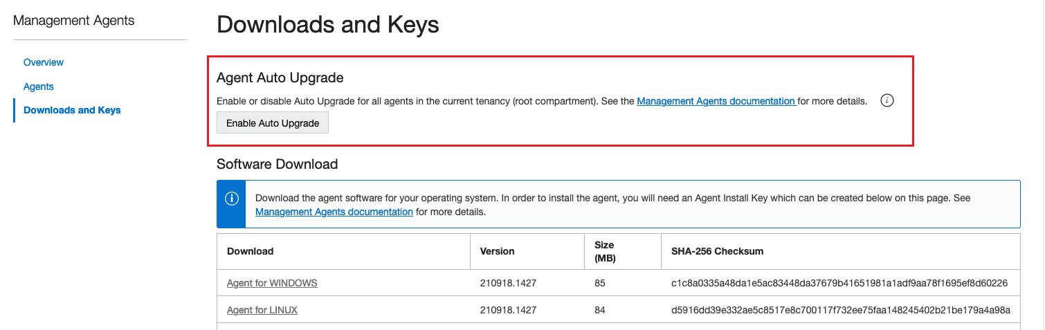 Abilita upgrade automatico