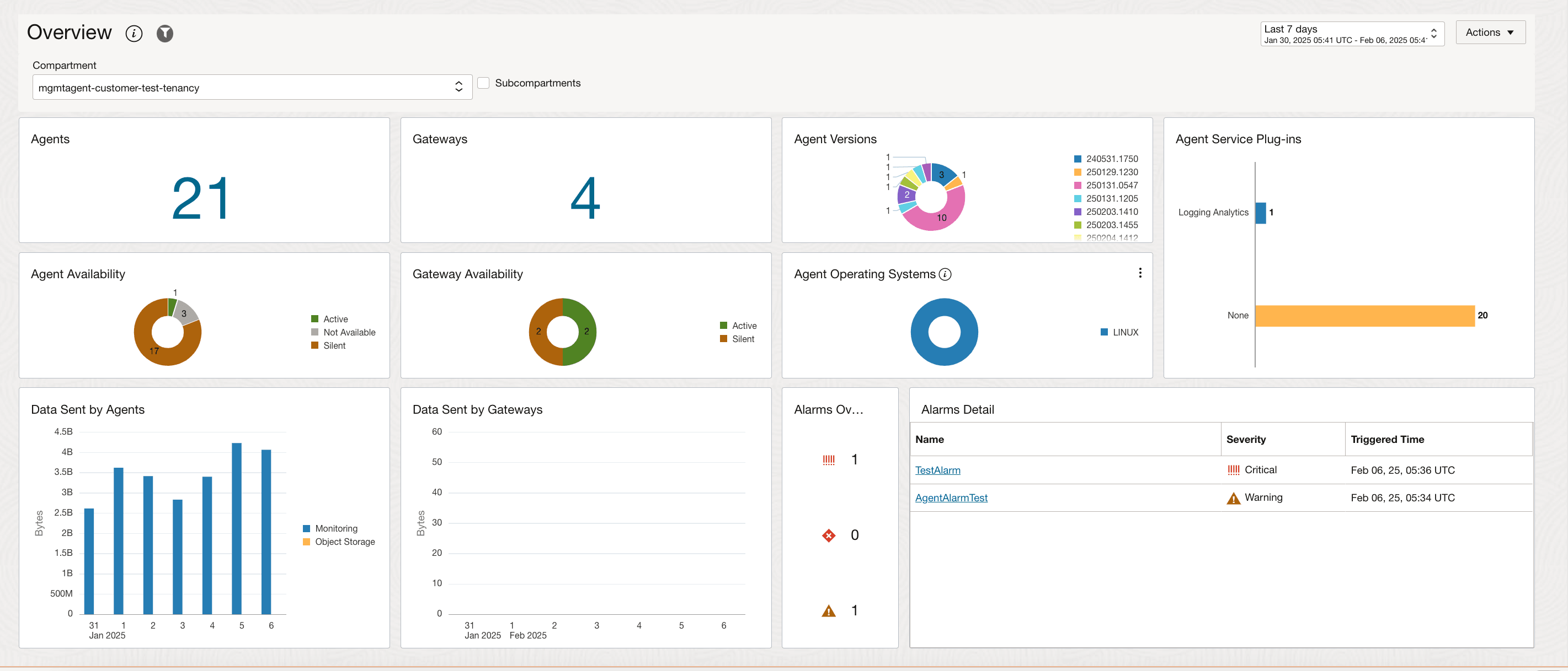 Pagina di panoramica che mostra le informazioni sui Management Agent installati.