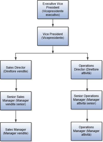 Nella figura viene illustrata la gerarchia posizioni per Vision Corporation.