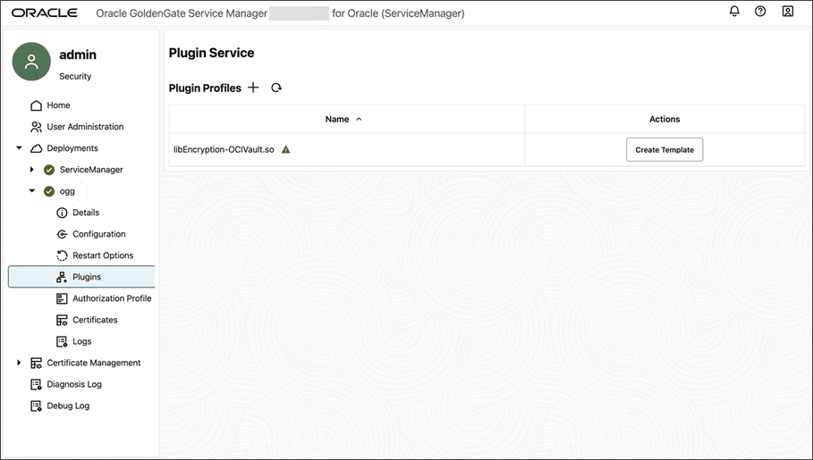 Il profilo plugin di Service Manager per il profilo di cifratura è disabilitato.