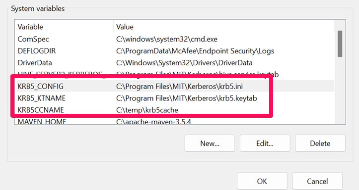 Variabile di ambiente