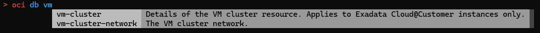 Immagine che mostra la modalità interattiva dell'interfaccia CLI OCI
