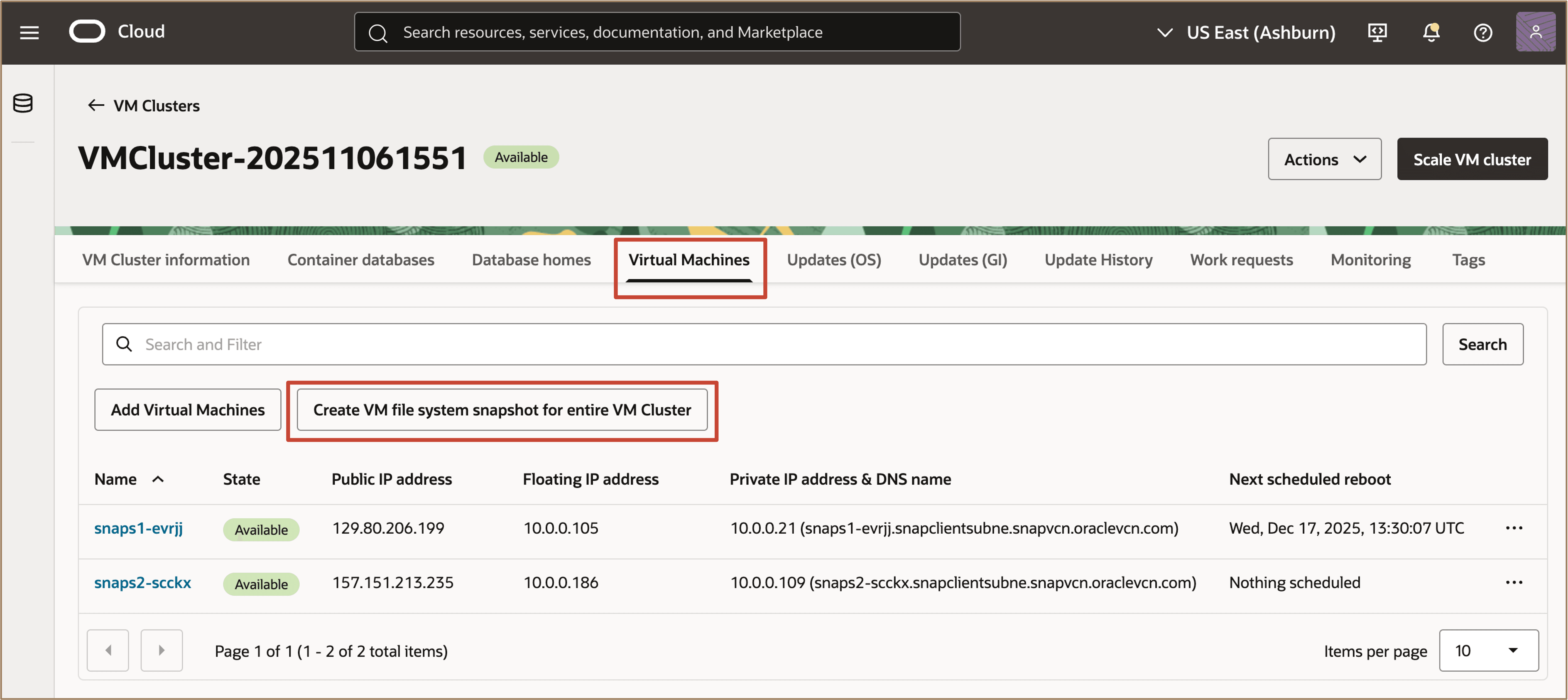 Immagine che mostra la creazione di uno snapshot di file system VM per l'intero cluster VM
