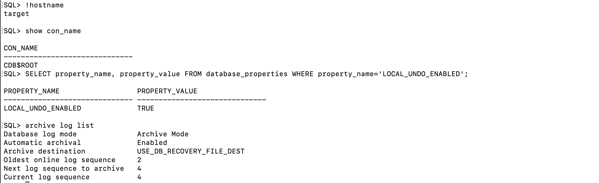 Controllare i dettagli di annullamento e log di archivio locali CDB di destinazione Controllare i dettagli di annullamento e log di archivio locali CDB di destinazione