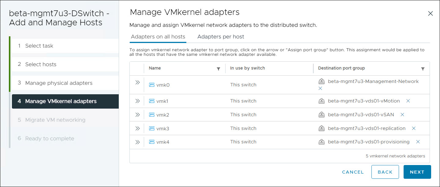 vDS Add Host - Definisci adattatori vMK