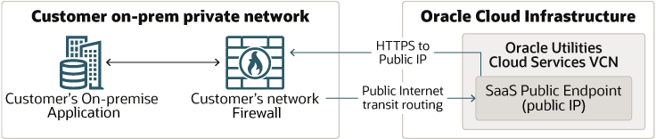 Segue la descrizione di pub-inet-opt.png