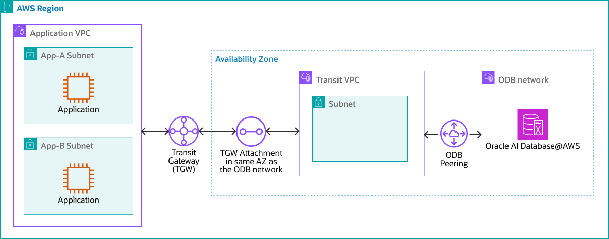 Segue la descrizione di db-aws-transit-vpc.png