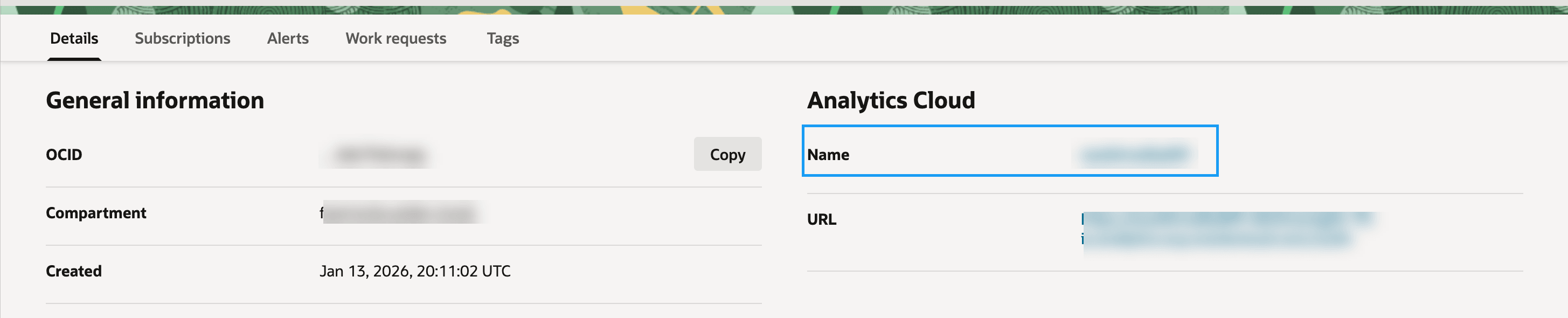 fawag-instance-detail-page-oac-oak.pngの説明が続きます fawag-instance-detail-page-oac-oak.pngの説明が続きます