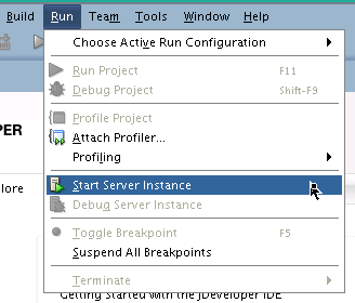 jdev-start-app-server.gif
