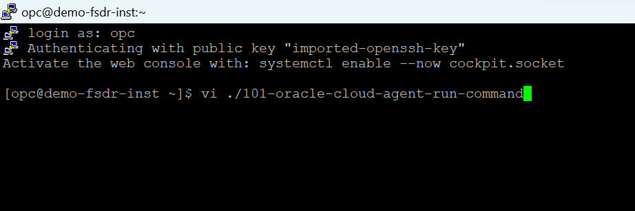 `run`コマンド- VI `run`コマンド- VI