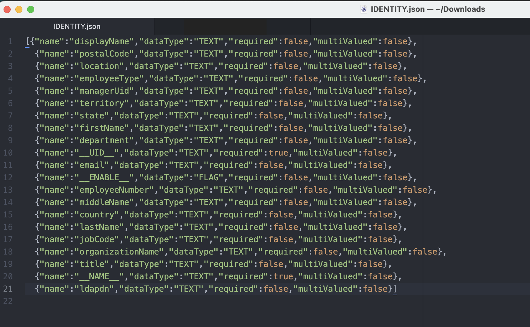 カスタマイズされたアイデンティティ・スキーマ・ファイル
