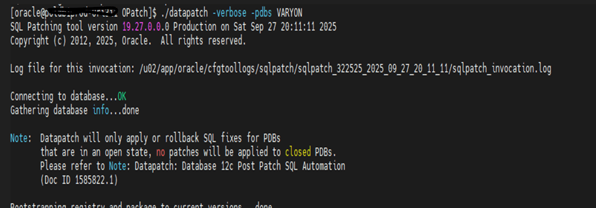 pdb内のdatapatch
