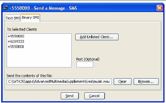 Send a Message window with Binary SMS tab selected