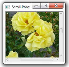 A scroll pane with an image