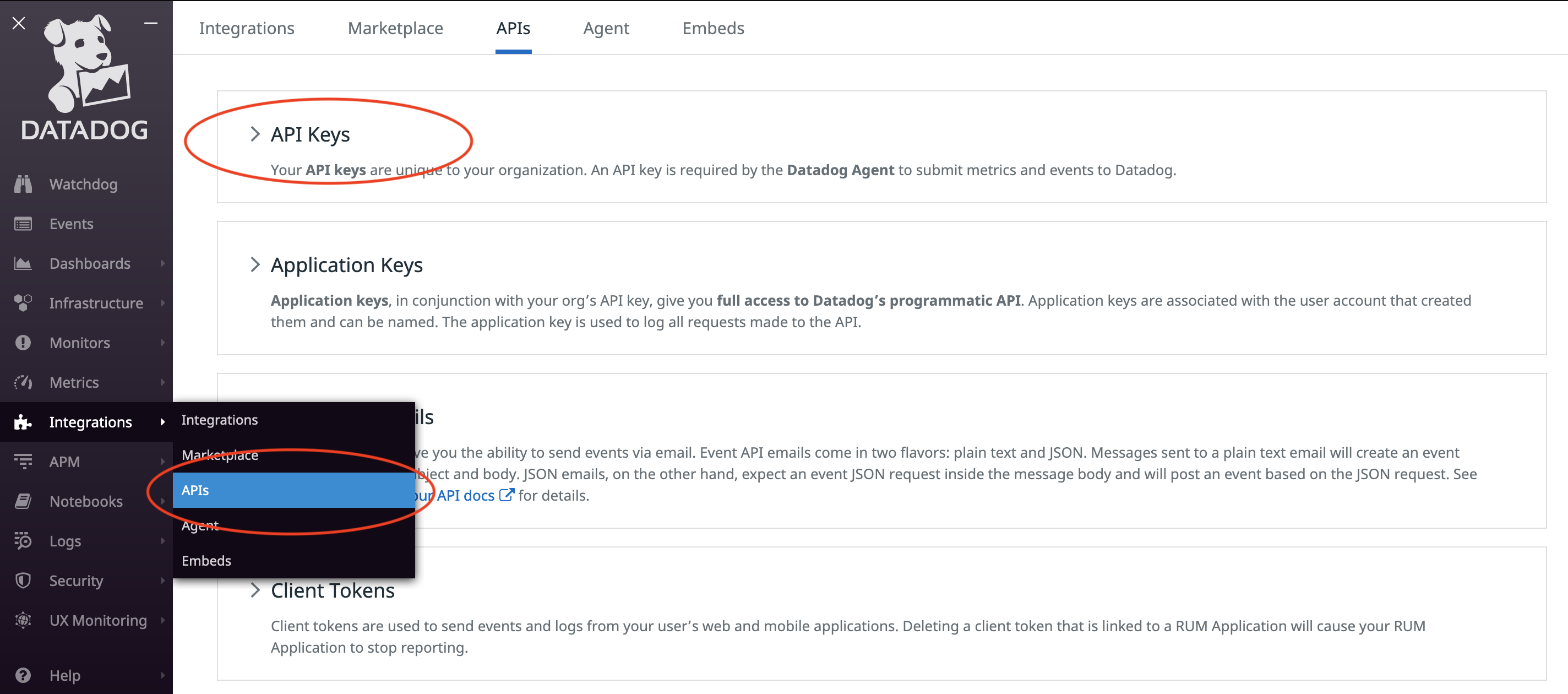 데이터 탭 메뉴