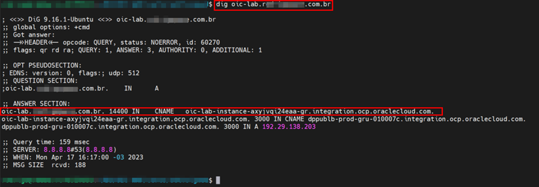dig 명령 실행 예