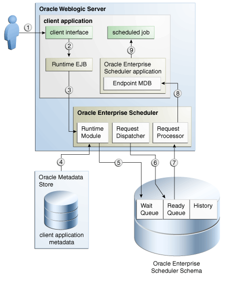 ESS runtime details