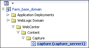 Description of domain-capture.gif follows