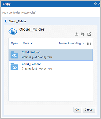Copy to Child Cloud Folder Window