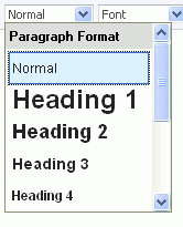 RTE Paragraph Format drop-down menu