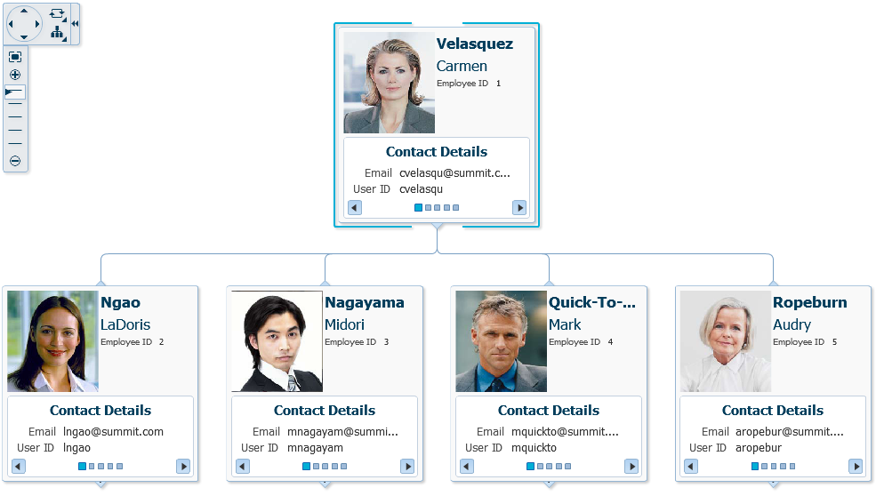 hierarchy viewer as an organizational chart