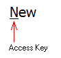 Access key for a component.