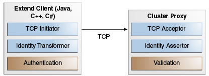 This figure is described in the preceding text.