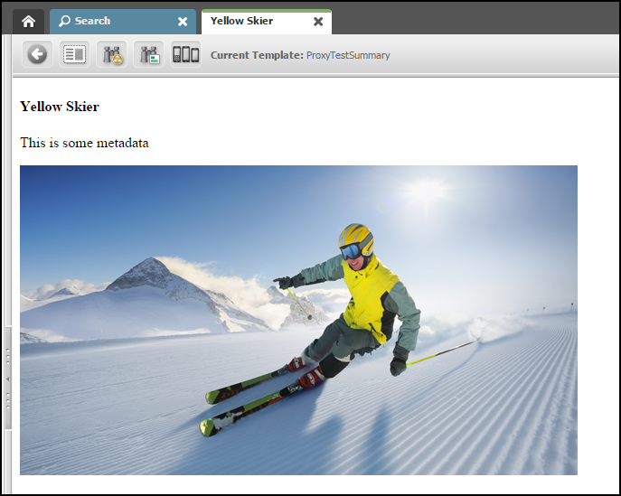 This image shows a sample graphic called YellowSkier.