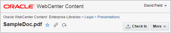 Oracle WebCenter Content Document View Page Banner