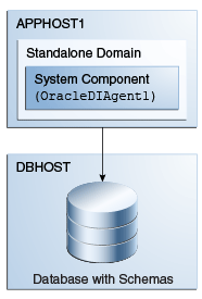 Installation topology for standalone agent
