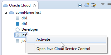 Activating the Java Cloud Service