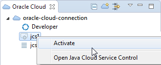 Activating the Java Cloud Service