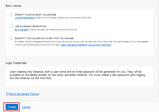 Página Create Compute Instance, clique em Create