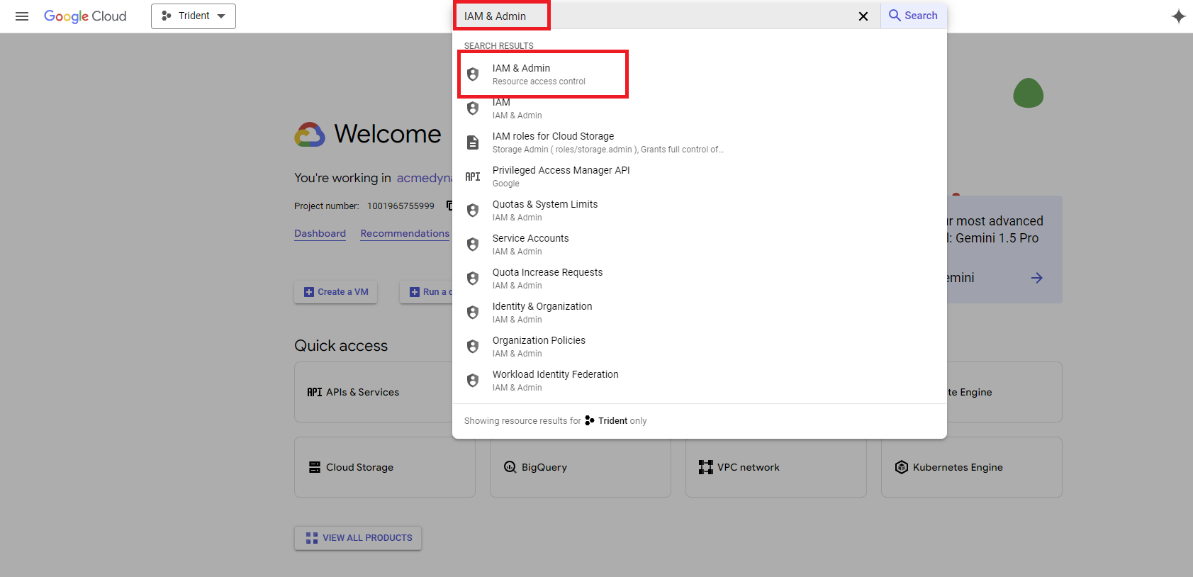Clique para expandir Uma imagem de uma pesquisa por "IAM & Admin" no console do Google Cloud.
