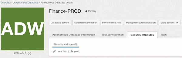 Captura de tela mostrando a guia Atributos de Segurança preenchida. Captura de tela mostrando a guia Atributos de Segurança preenchida.