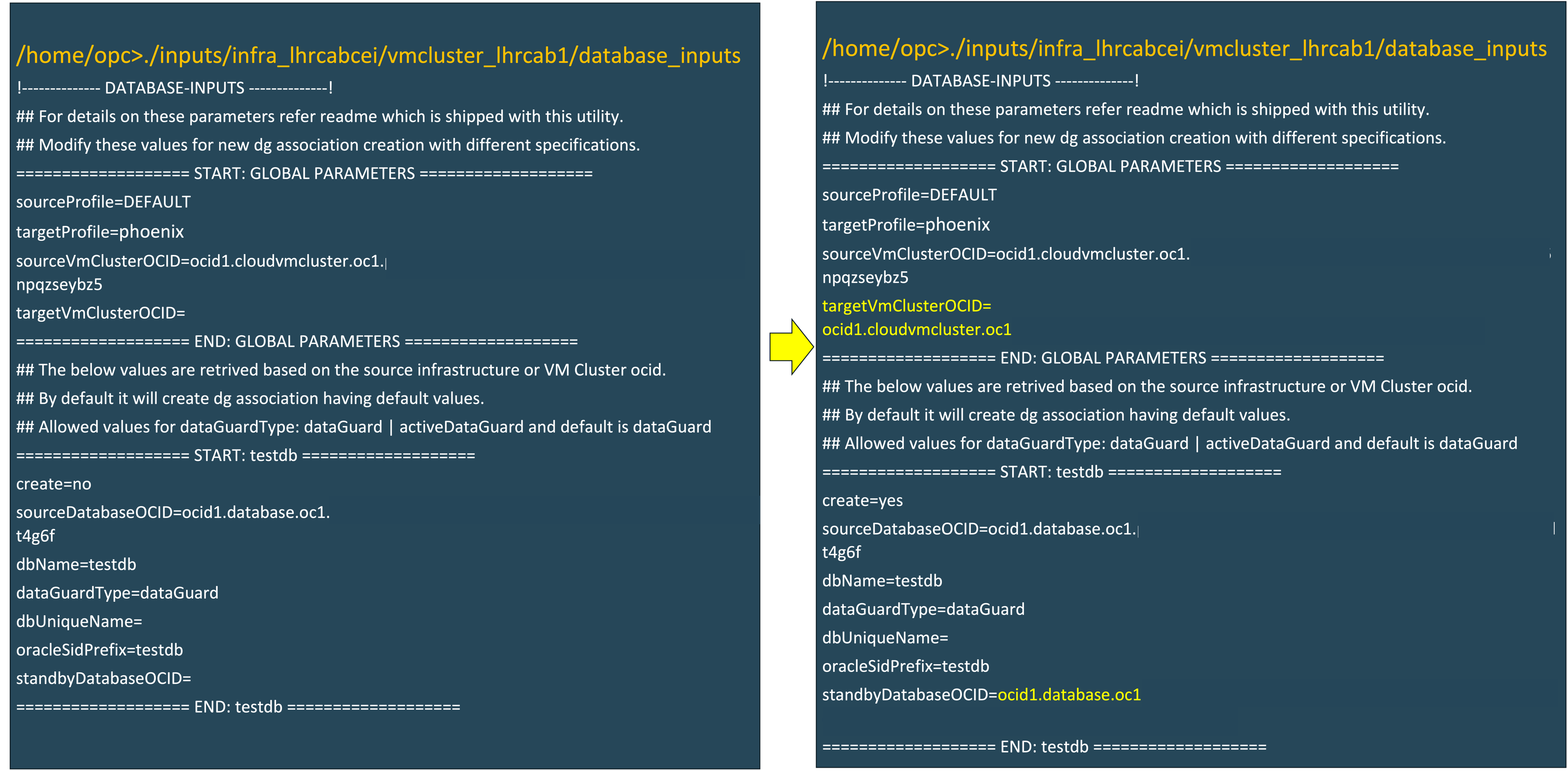 Imagem mostrando a configuração da associação do Data Guard