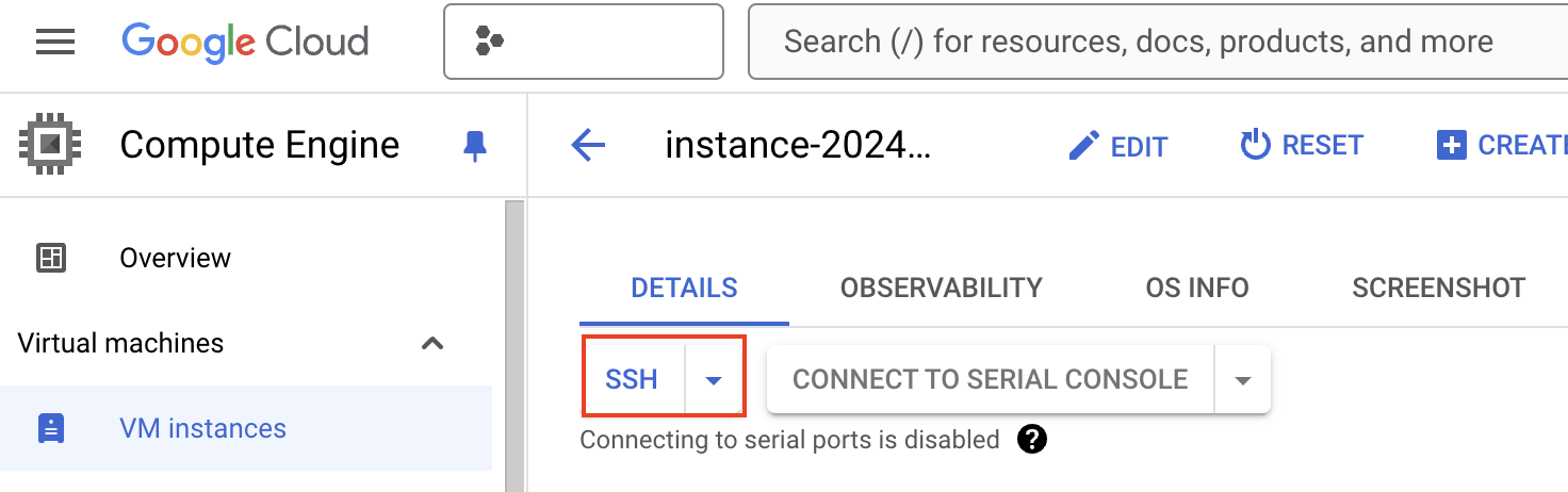 SSH no navegador