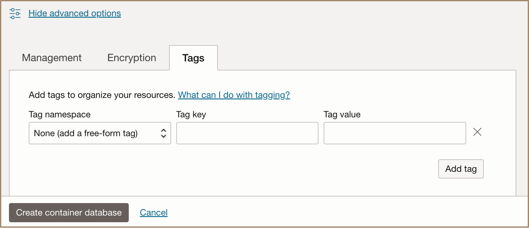 Imagem mostrando a opção de adicionar tags do banco de dados contêiner