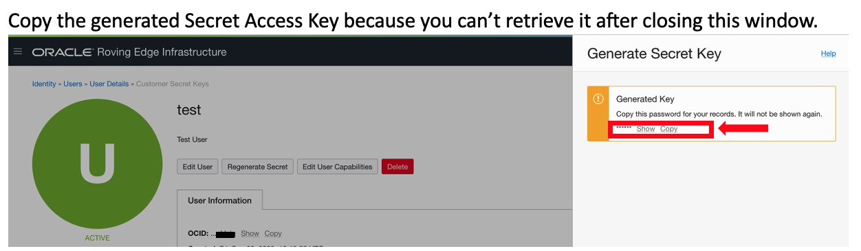 Copiando a Chave de Acesso Secreta do Cliente Imagem 3