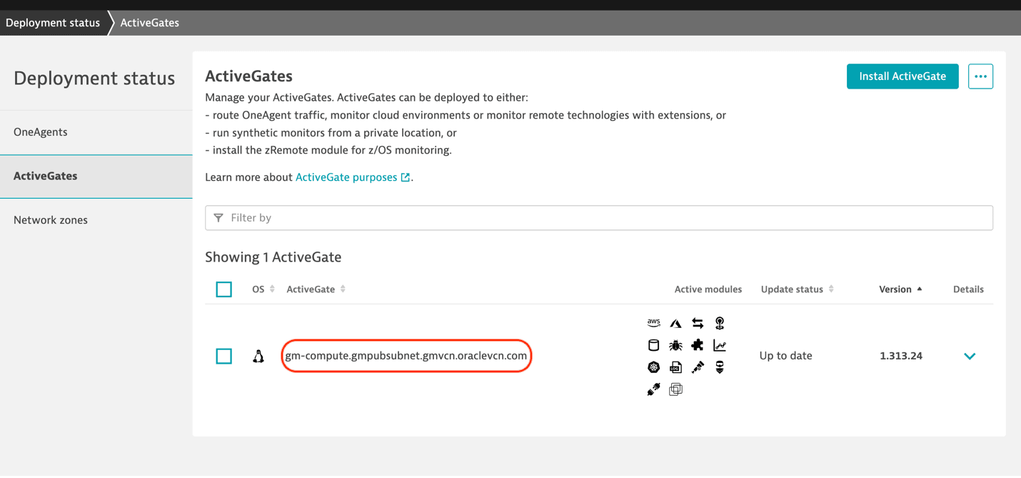 Verificar