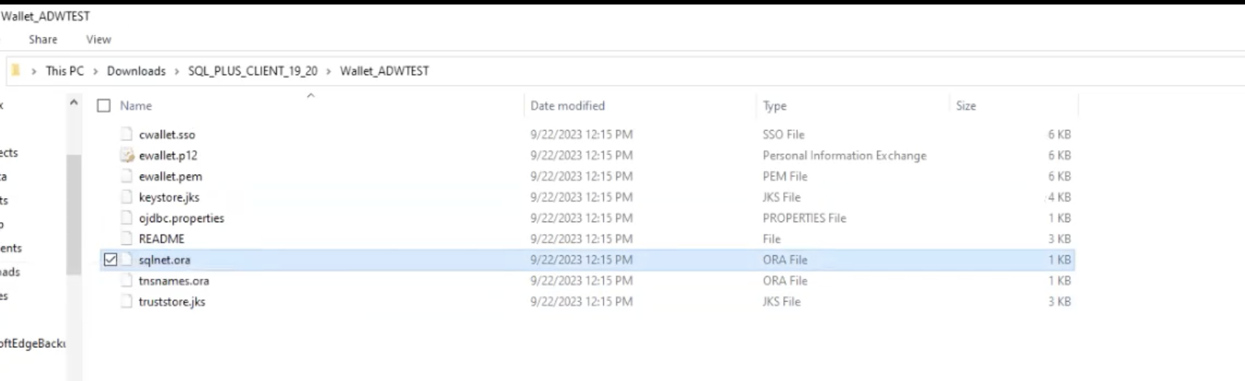 Fazer Download de uma Wallet