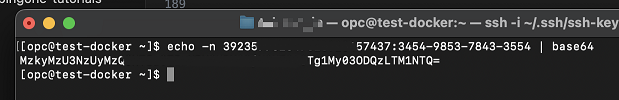 Terminal.